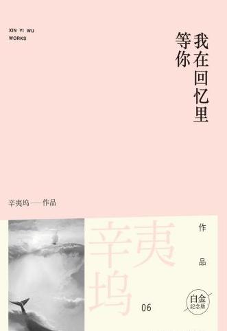 我在回忆里等你小说阅读