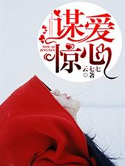谋爱惊心小说阅读