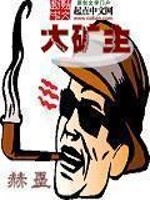 大矿主小说阅读