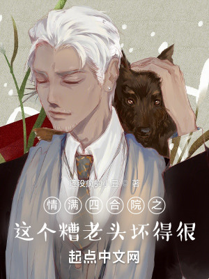 情满四合院之，这个糟老头坏得很小说阅读