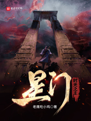 星门：时光之主小说阅读