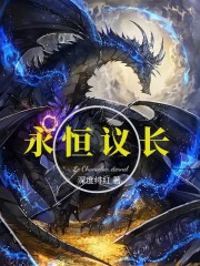 永恒议长小说阅读