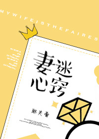 妻迷心窍小说阅读