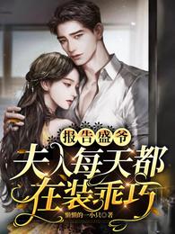 报告盛爷，夫人每天都在装乖巧小说阅读