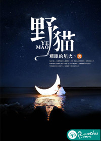 野猫挠人心小说沈璃小说阅读