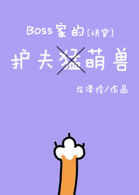 BOSS的护夫萌兽[快穿]小说阅读