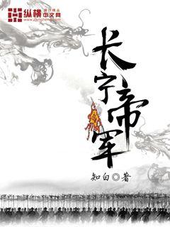 长宁帝军小说阅读