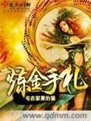 炼金手札小说阅读