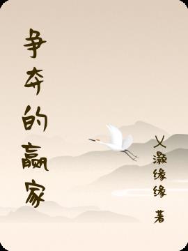 争夺的赢家小说阅读