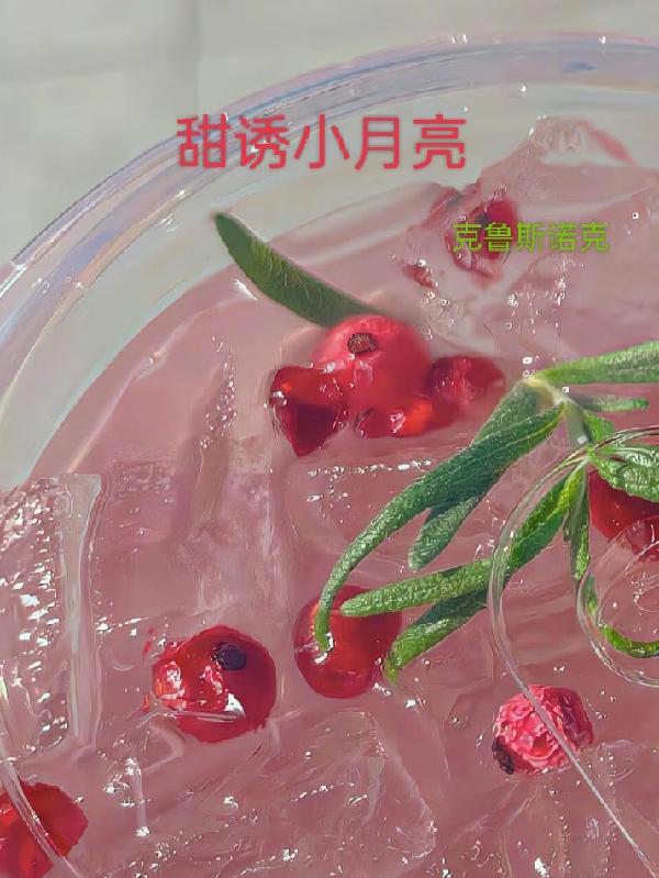 甜诱小月亮小说阅读