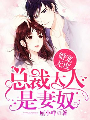 婚宠无度：总裁大人是妻奴小说阅读