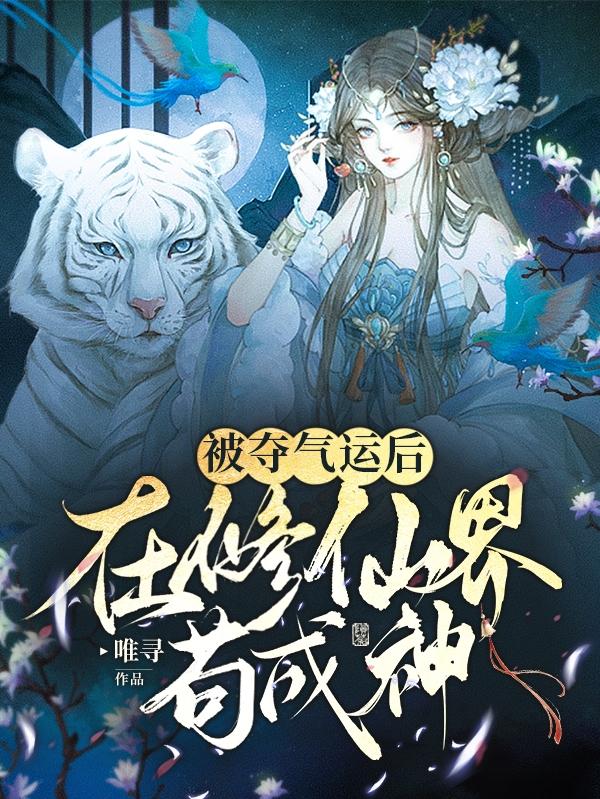 被夺气运后，在修仙界苟成神小说阅读