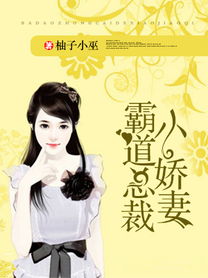 霸道总裁小娇妻小说阅读
