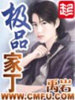 极品家丁小说阅读
