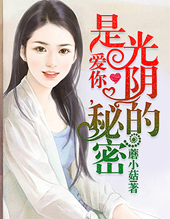 爱你，是光阴的秘密小说阅读