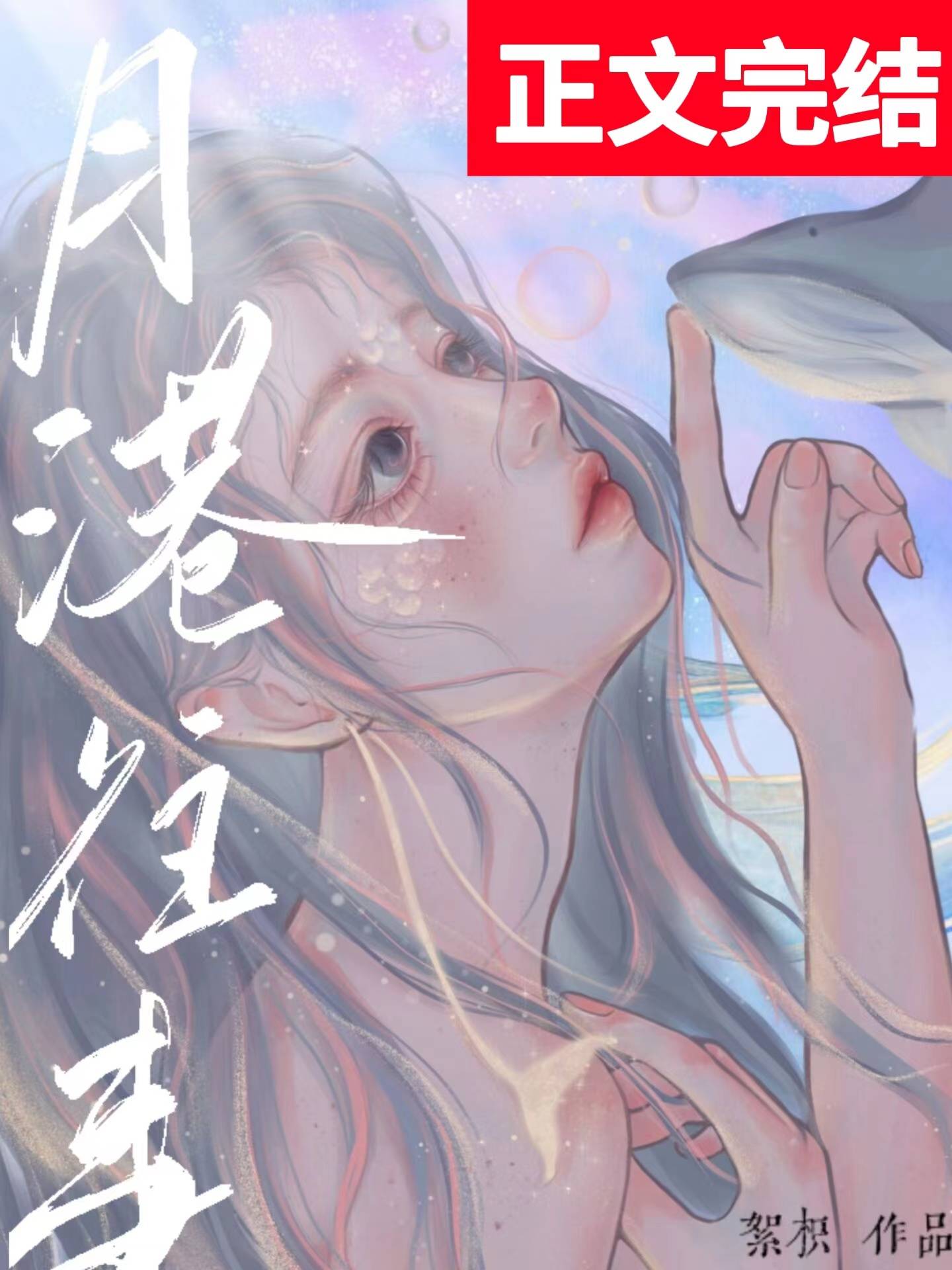 月港往事小说阅读