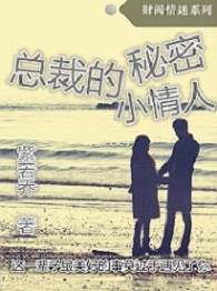 总裁的秘密小妻子小说阅读