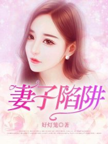 妻子陷阱小说阅读