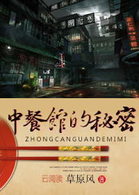 中餐馆的秘密小说阅读