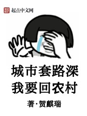 城市套路深我要回农村小说阅读