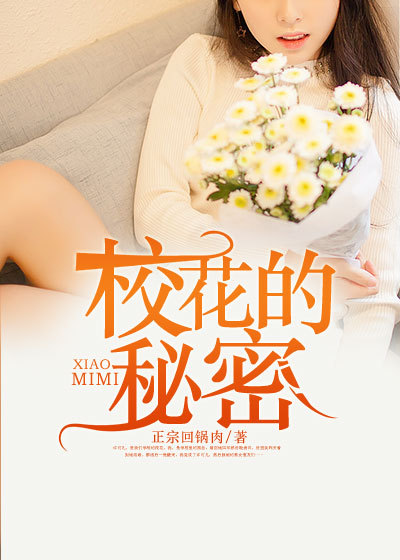 校花的秘密小说阅读