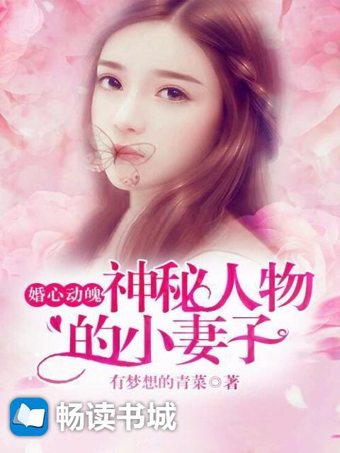 婚心动魄：神秘人物的小妻子小说阅读