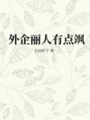 外企丽人有点飒小说阅读