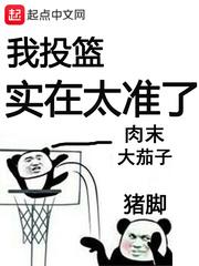 我投篮实在太准了小说阅读