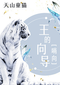 王的向导小说阅读
