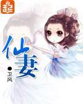 仙妻小说阅读