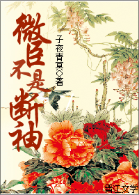 微臣不是断袖小说阅读