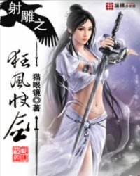 射雕之狂风快剑小说阅读