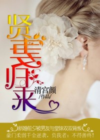 贤妻归来小说阅读