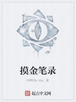 摸金笔录小说阅读