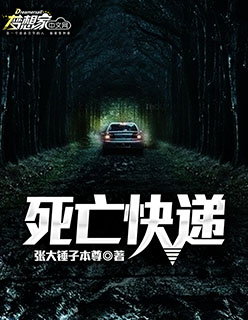 死亡快递小说阅读