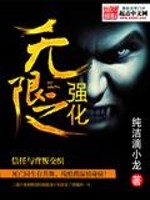 无限之强化小说阅读