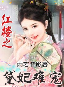 红楼之黛妃难宠小说阅读