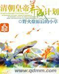 清朝皇帝养成计划小说阅读