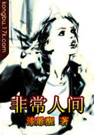 非常人间小说阅读