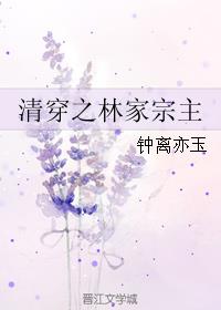清穿之林家宗主小说阅读