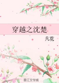 穿越之沈楚小说阅读