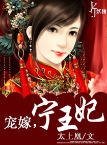 宠嫁,宁王妃小说阅读