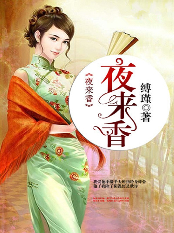 夜来香小说阅读