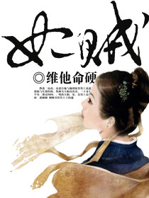 妃贼小说阅读