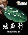 赌石行小说阅读