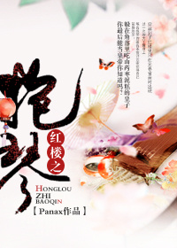 红楼之抱琴小说阅读