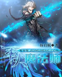 军火魔法师小说阅读