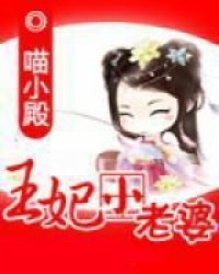 王妃小老婆小说阅读