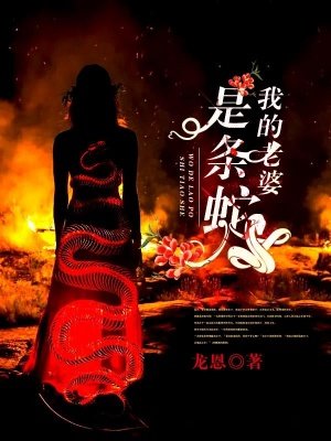 我的老婆是条蛇小说阅读