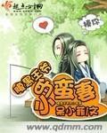 腹黑王爷的小蛮妻小说阅读